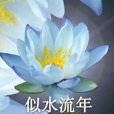 「竹白」虽逝，「重新思考」不止：两种订阅新方式