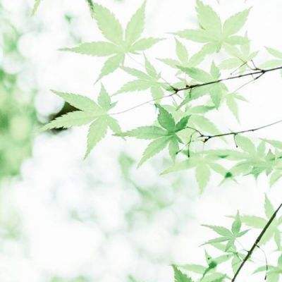 混沌起源华为版本下载