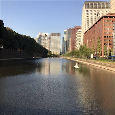 仙恋九歌手游下载